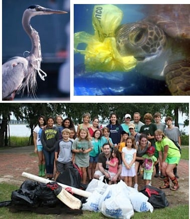 37th Annual Daniel Island Beach Sweep/River Sweep