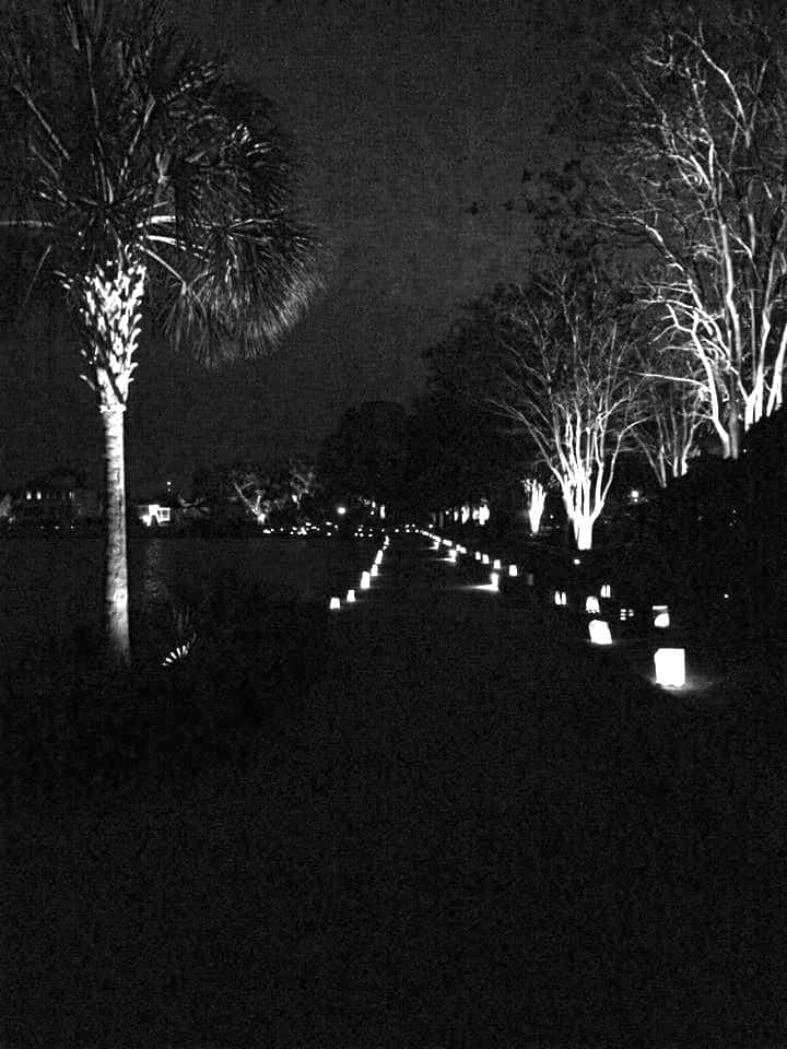 Daniel Island School PTA Luminaries at the POA Tree Lighting Daniel