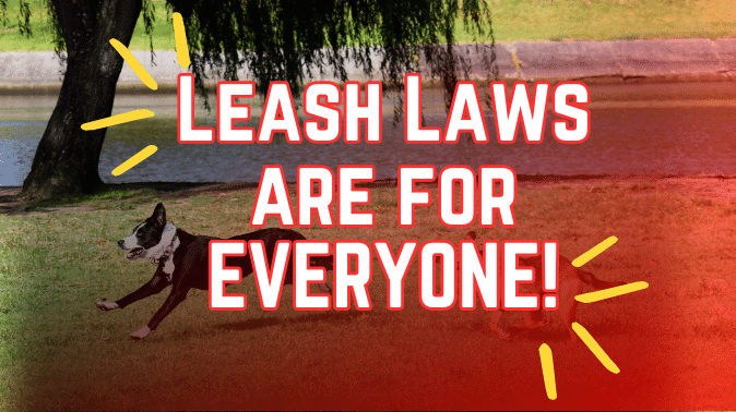 Alert! Animal Leash Laws Are For Everyone