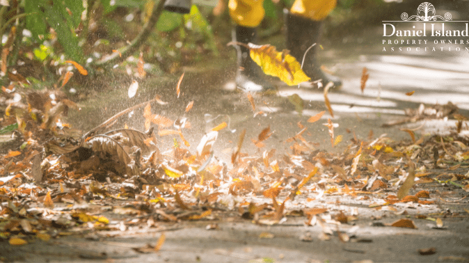 Yard Debris Reminder