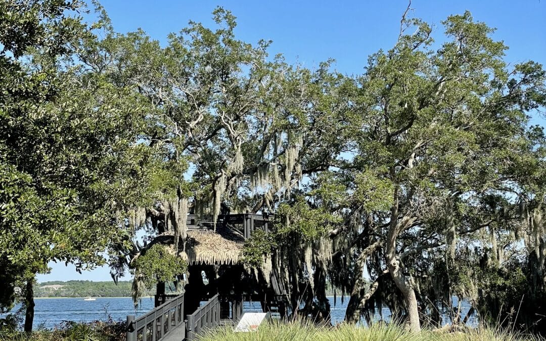 Treehouse Spur