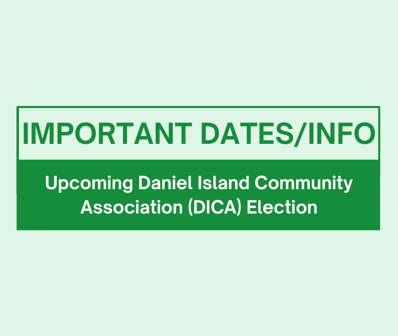 2025 DICA Board of Directors Election Process and Candidate Bios