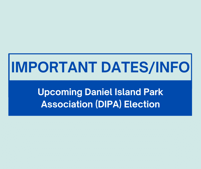 2025 DIPA Board of Directors Election Process and Candidate Bios