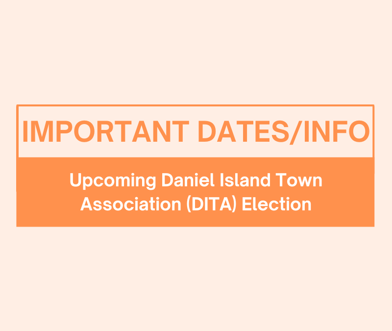 2025 DITA  Board of Directors Election Process and Candidate Bios